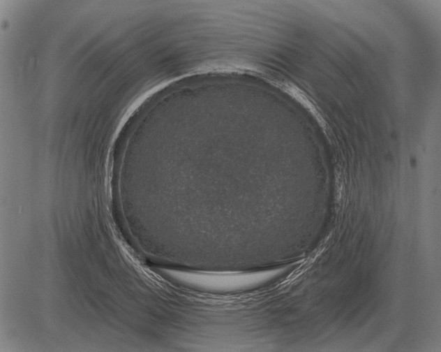 X0000083071124200702161815