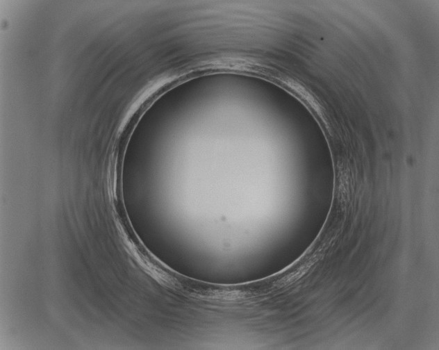 X0000083071131200702161815