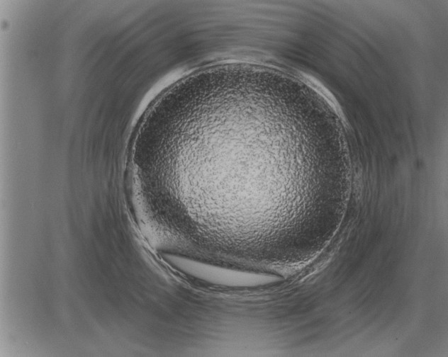 X0000083071146200702161815