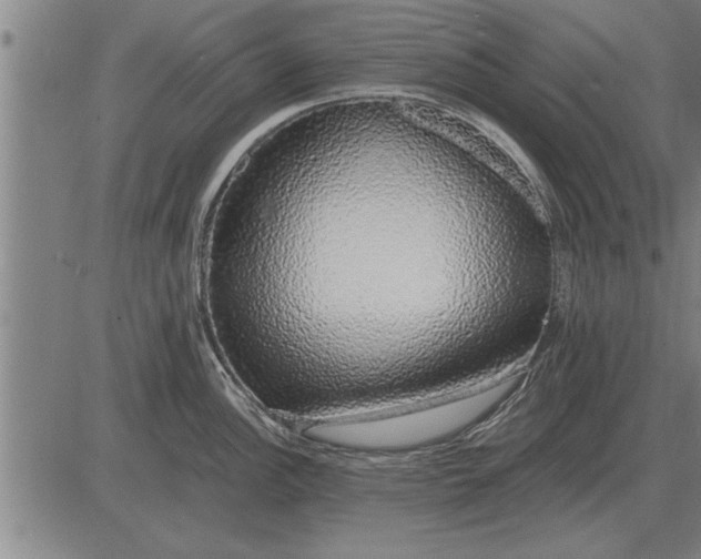 X0000083071148200702161815