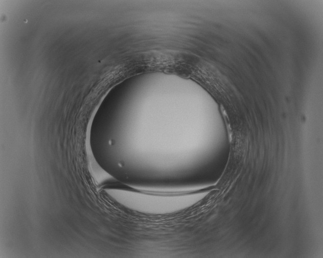 X0000083071153200702161814