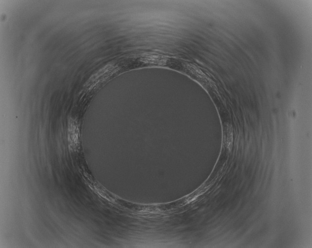 X0000083071154200702161814