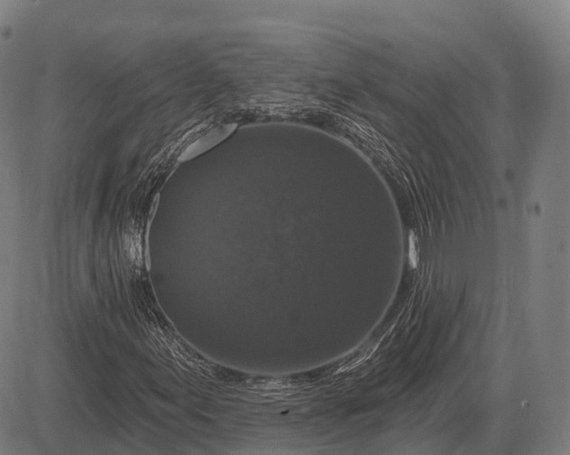 X0000083071155200702161814