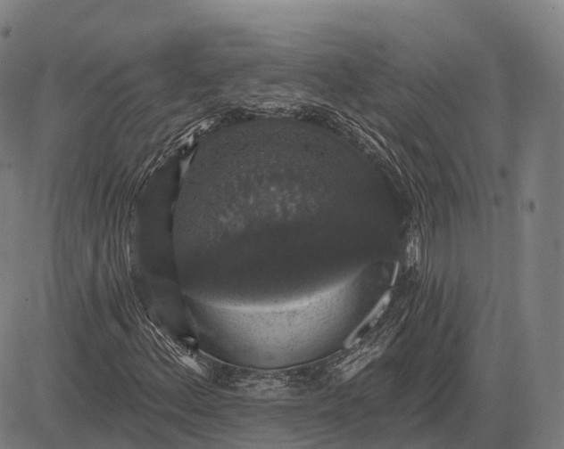 X0000083071156200702161814