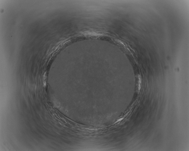 X0000083071157200702161814