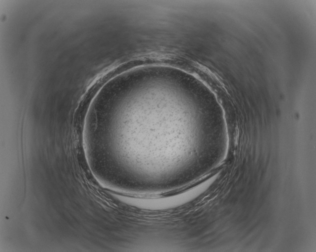 X0000083071160200702161814