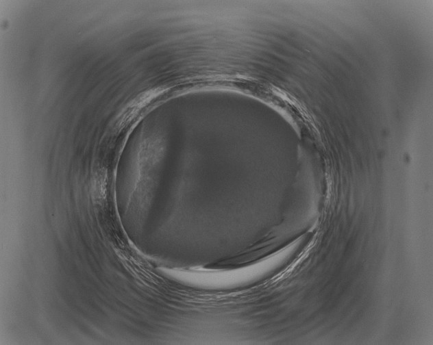 X0000083071161200702161814
