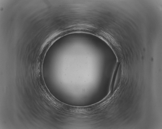 X0000083071164200702161814