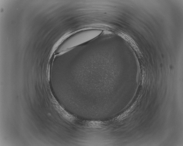 X0000083071180200702161814