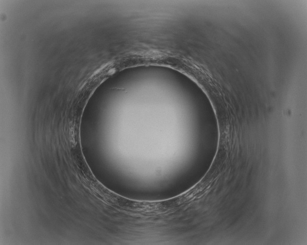 X0000083071205200702161813