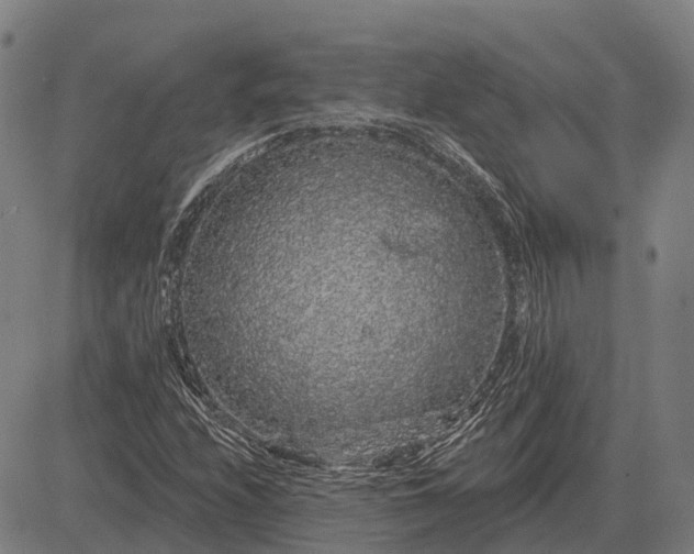 X0000083071208200702161813
