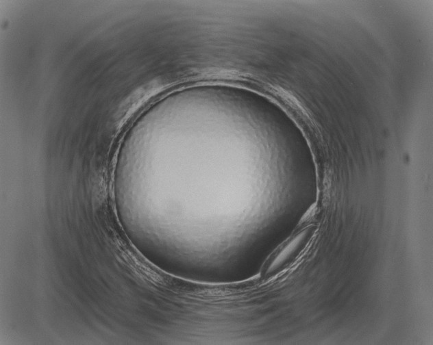 X0000083071212200702161813