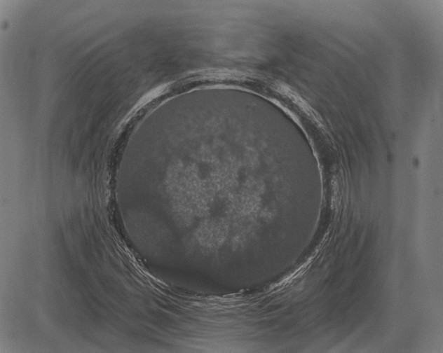 X0000083071213200702161813