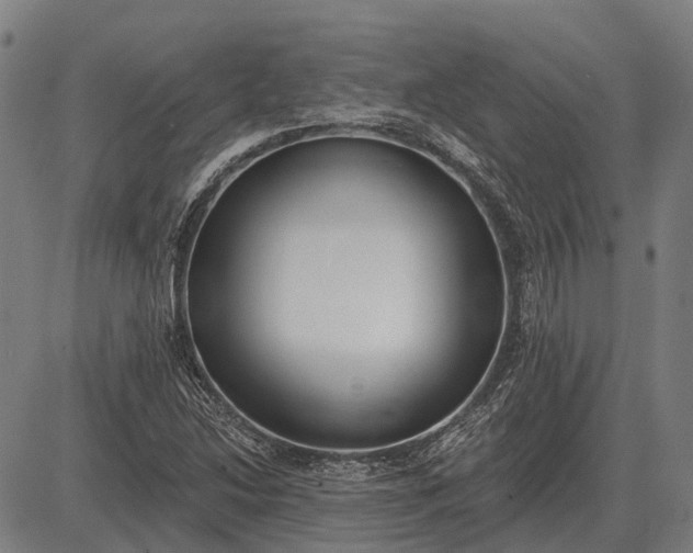 X0000083071214200702161813