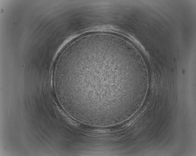 X0000083071224200702161813