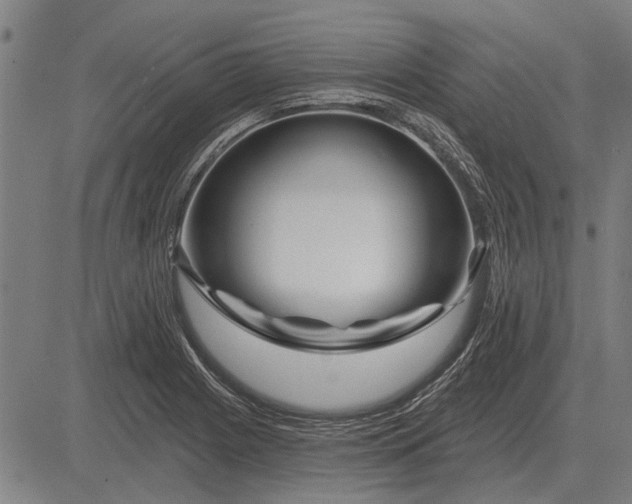 X0000083071225200702161813