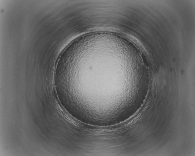 X0000083071228200702161813