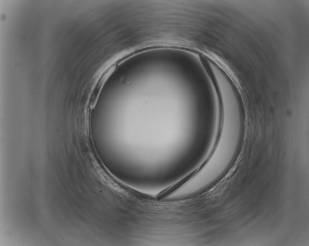 X0000083071238200702161813