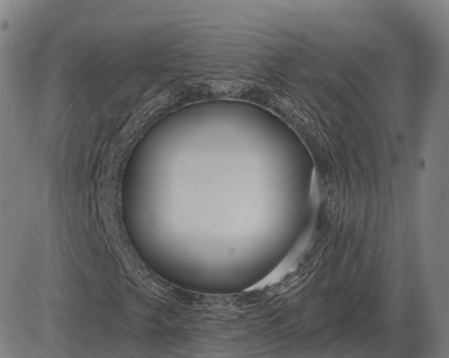 X0000083071249200702161813