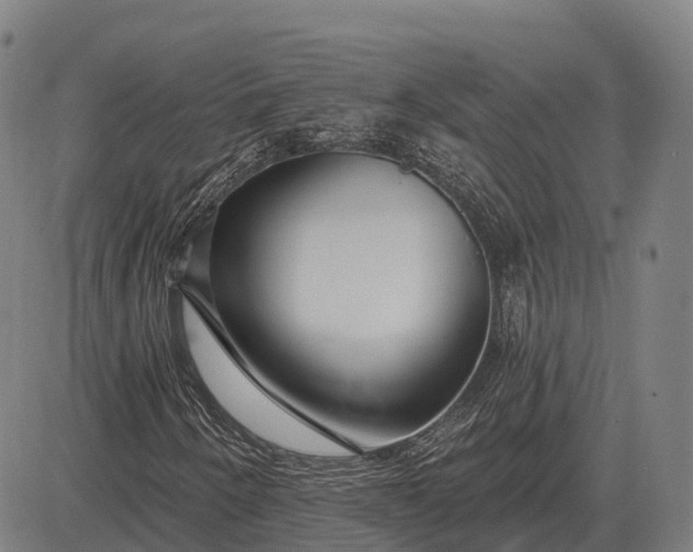 X0000083071250200702161813