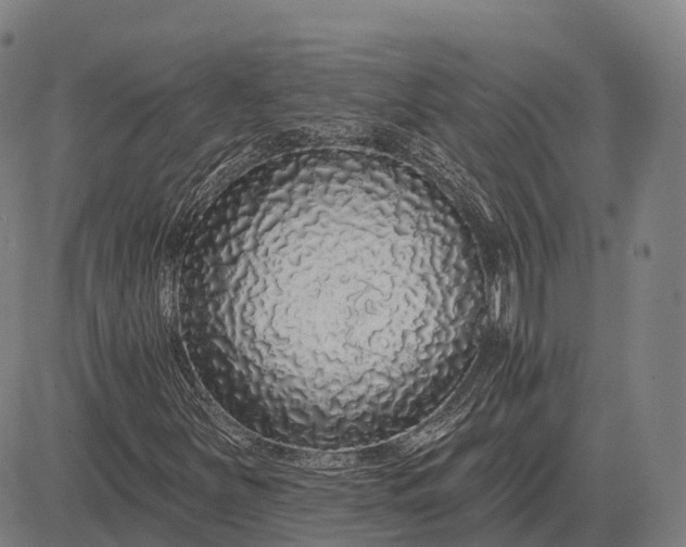 X0000083071251200702161813