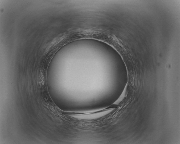 X0000083071253200702161813