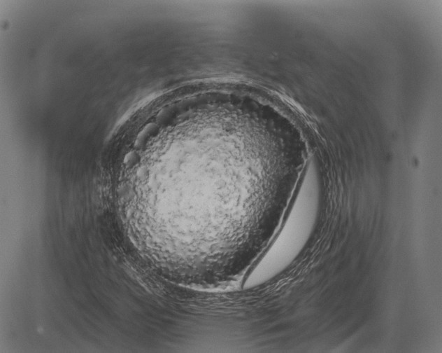 X0000083071255200702161813