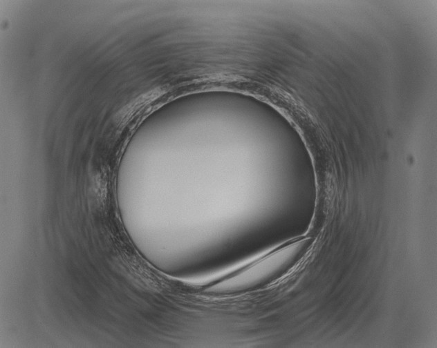 X0000083071257200702161813