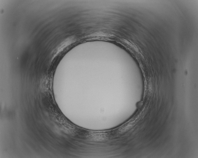 X0000083071258200702161813