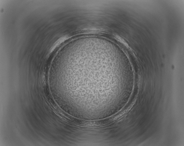 X0000083071259200702161813