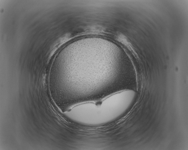 X0000083071260200702161813