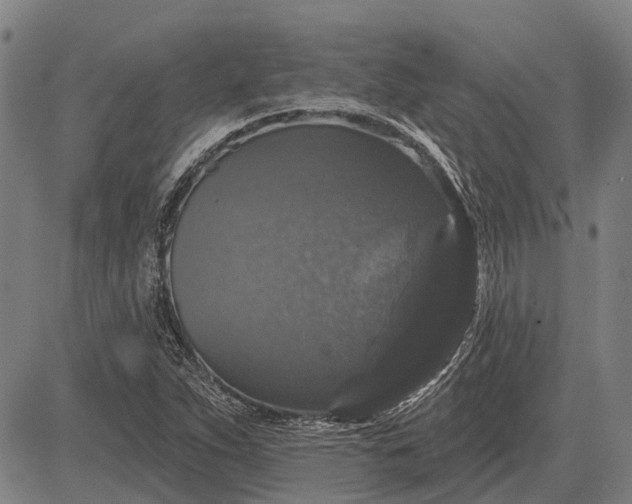 X0000083071263200702161813