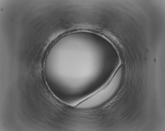 X0000083071264200702161813