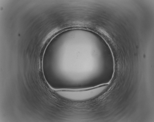 X0000083071267200702161812
