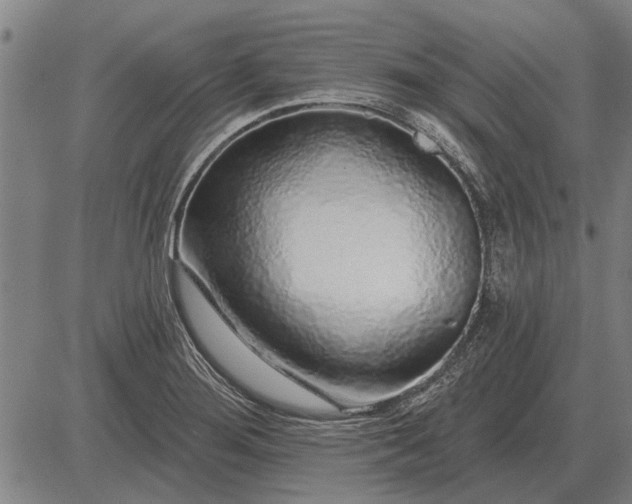 X0000083071276200702161812