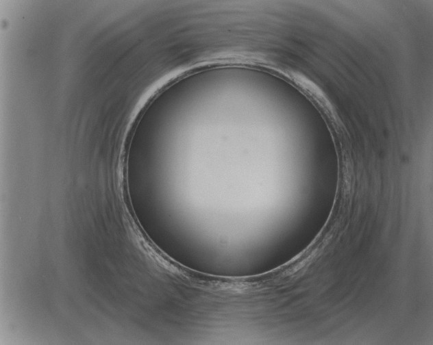 X0000083071288200702161812