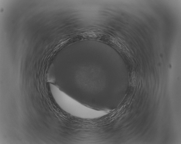 X0000083071297200702161811