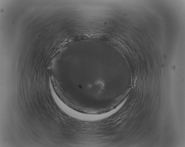X0000083071298200702161811