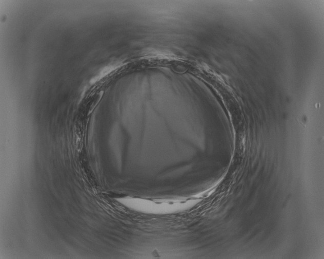 X0000083071303200702161811