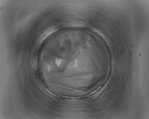 X0000083071306200702161811