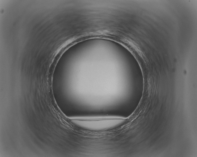 X0000083071308200702161811