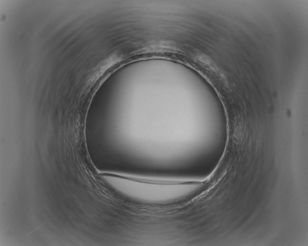 X0000083071313200702161811