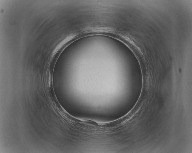 X0000083071317200702161812
