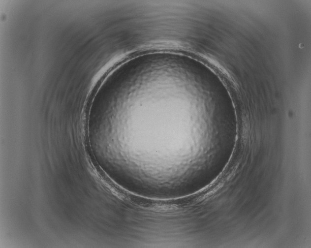 X0000083071325200702161812