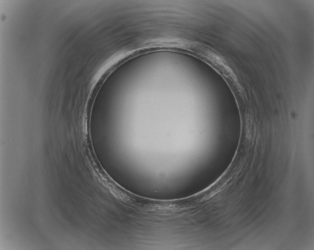 X0000083071328200702161812