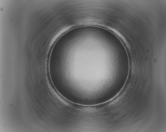 X0000083071333200702161812