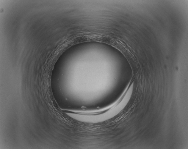 X0000083071345200702161811