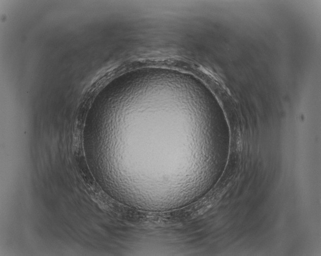 X0000083071350200702161811