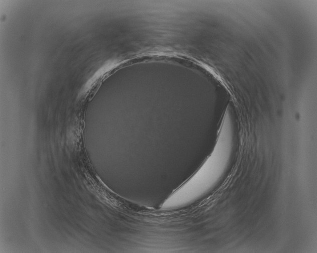 X0000083071359200702161811