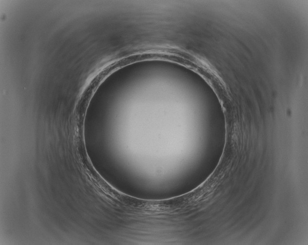 X0000083071360200702161811